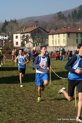 Clicca per vedere l'immagine alla massima grandezza