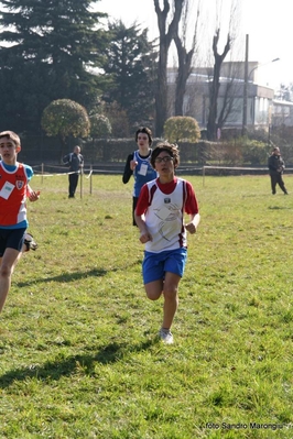 Clicca per vedere l'immagine alla massima grandezza