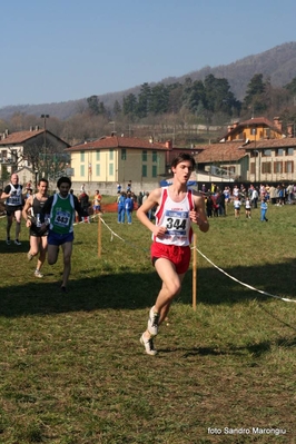 Clicca per vedere l'immagine alla massima grandezza