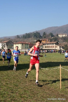 Clicca per vedere l'immagine alla massima grandezza