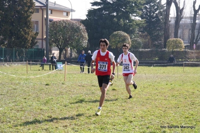 Clicca per vedere l'immagine alla massima grandezza