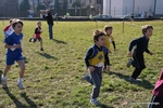IMG_6251.jpg