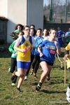 IMG_6264.jpg