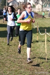 IMG_6331.jpg