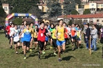 IMG_6355.jpg