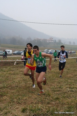 Clicca per vedere l'immagine alla massima grandezza
