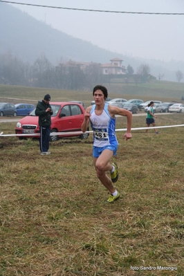 Clicca per vedere l'immagine alla massima grandezza