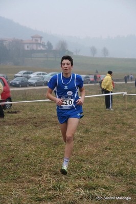 Clicca per vedere l'immagine alla massima grandezza