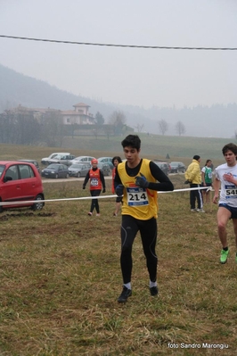 Clicca per vedere l'immagine alla massima grandezza