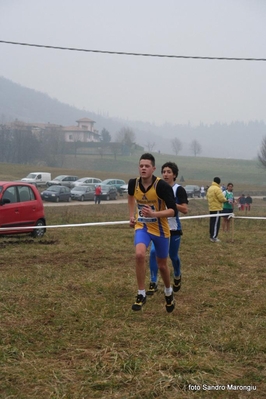Clicca per vedere l'immagine alla massima grandezza