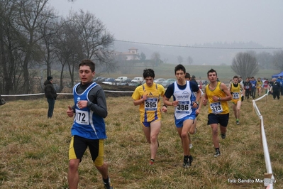 Clicca per vedere l'immagine alla massima grandezza