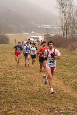 Clicca per vedere l'immagine alla massima grandezza