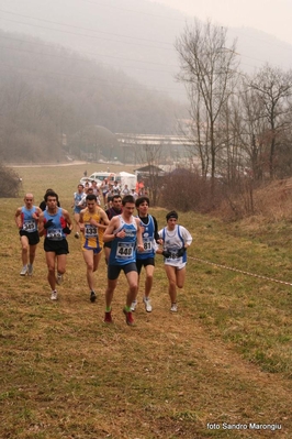 Clicca per vedere l'immagine alla massima grandezza