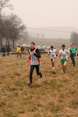 Clicca per vedere l'immagine alla massima grandezza