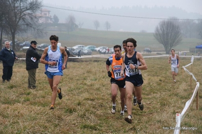 Clicca per vedere l'immagine alla massima grandezza