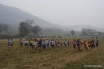 IMG_4387.jpg