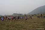 IMG_4494.jpg