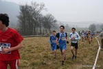 IMG_4520.jpg