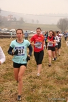 IMG_4784.jpg