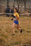 IMG_4817.jpg