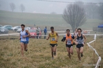 IMG_5078.jpg