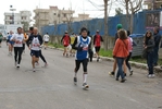 gino_1310.jpg