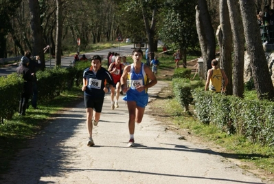 Clicca per vedere l'immagine alla massima grandezza