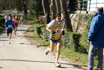 Clicca per vedere l'immagine alla massima grandezza