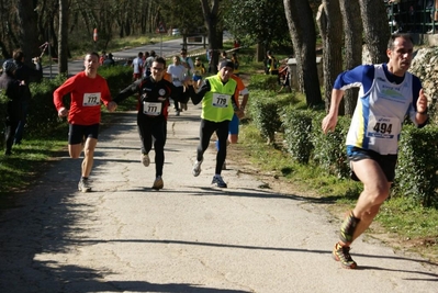 Clicca per vedere l'immagine alla massima grandezza