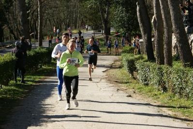 Clicca per vedere l'immagine alla massima grandezza