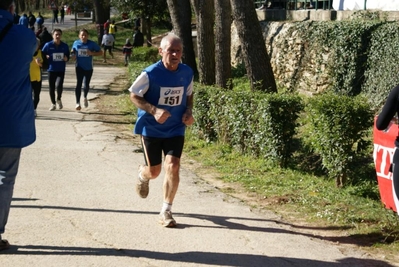 Clicca per vedere l'immagine alla massima grandezza