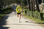 falc_549.jpg