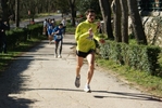 falc_550.jpg