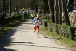 falc_609.jpg