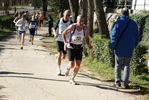 falc_637.jpg