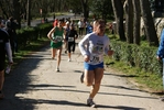 falc_640.jpg
