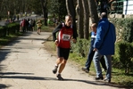 falc_680.jpg