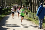 falc_686.jpg