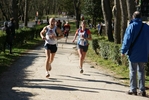 falc_688.jpg