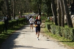 falc_712.jpg