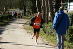 falc_718.jpg