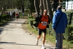falc_719.jpg