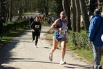 falc_732.jpg