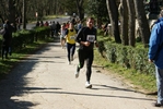 falc_734.jpg