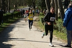 falc_735.jpg