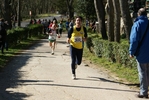 falc_736.jpg
