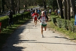 falc_738.jpg