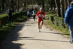 falc_740.jpg