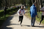 falc_756.jpg