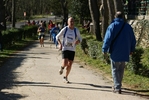 falc_758.jpg